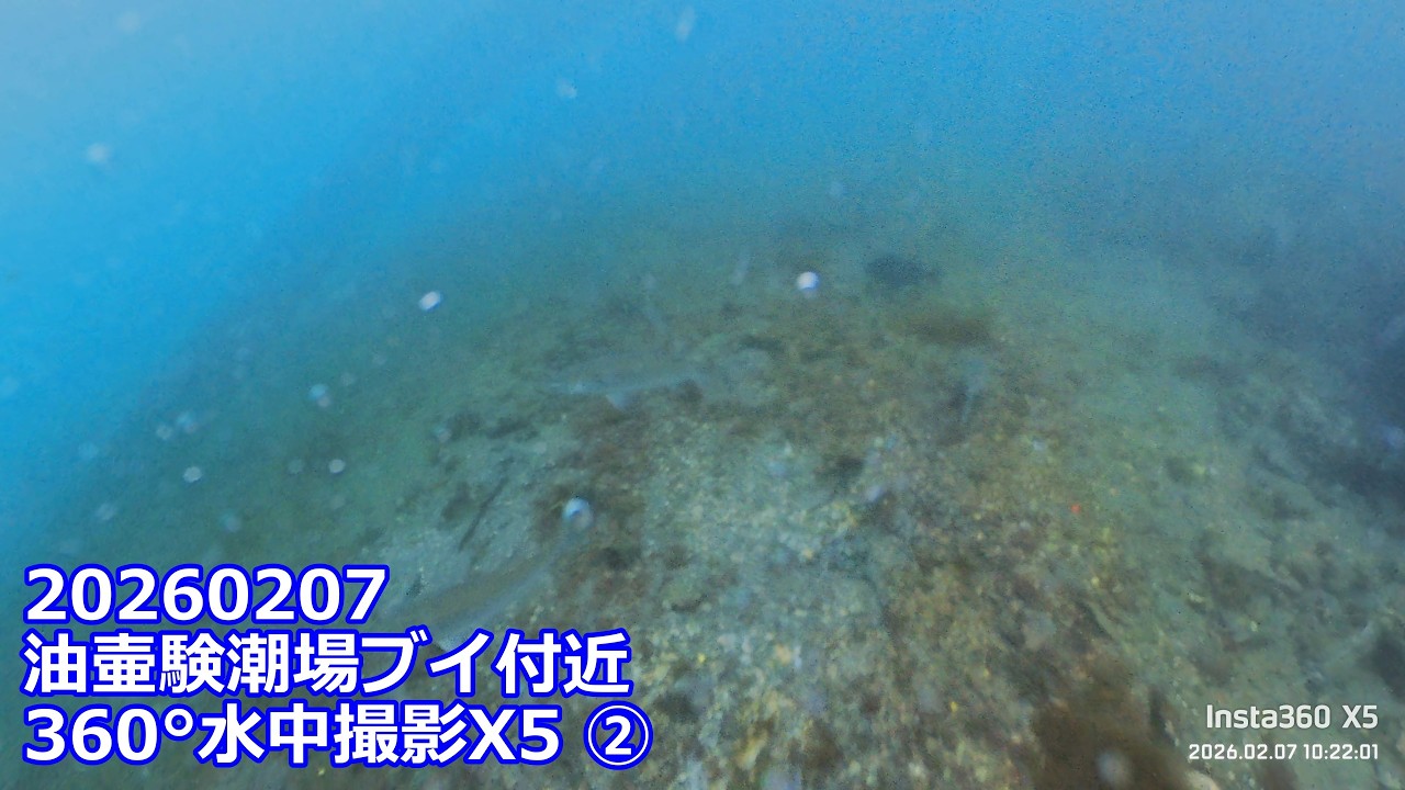 20260207X5②油壷験潮場ブイ付近360°水中撮影(09:42:41～11:26:45)チャプター付き