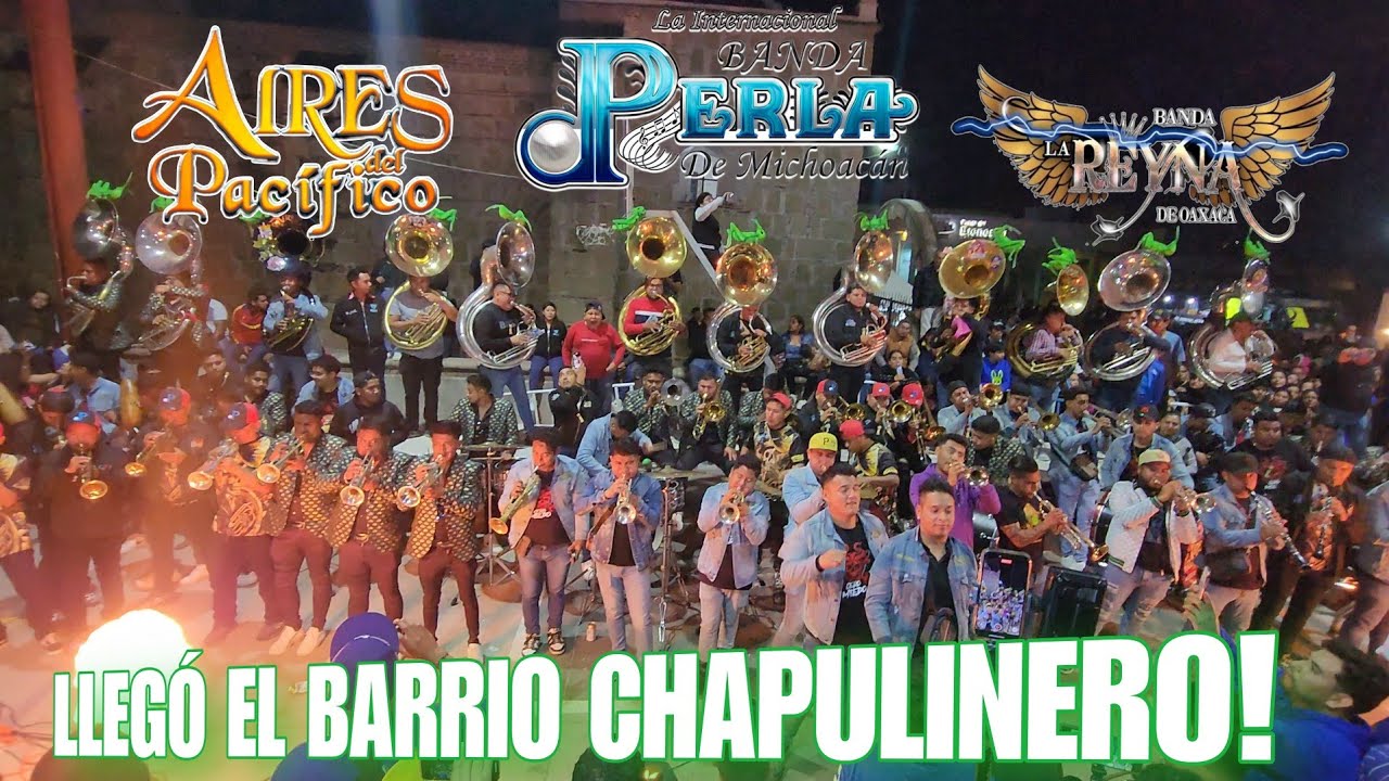 BANDA PERLA DE MICHOACAN MUERTEADA 2024🔥REYNA DE OAXACA Y AIRES DEL PACÍFICO!🎺BARRIO CHAPULINERO!🔥🦗