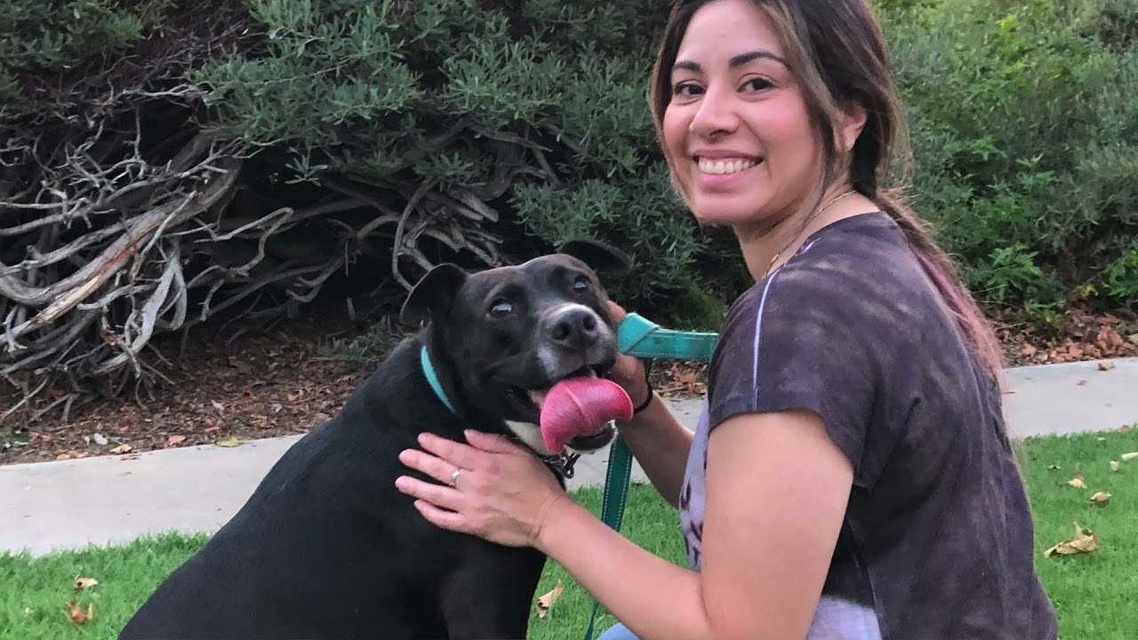 Chino Hills Manager Spotlight