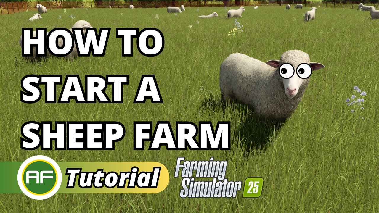 How To Start A Sheep Farm In Farming Simulator 25 (Full Beginners Guide)