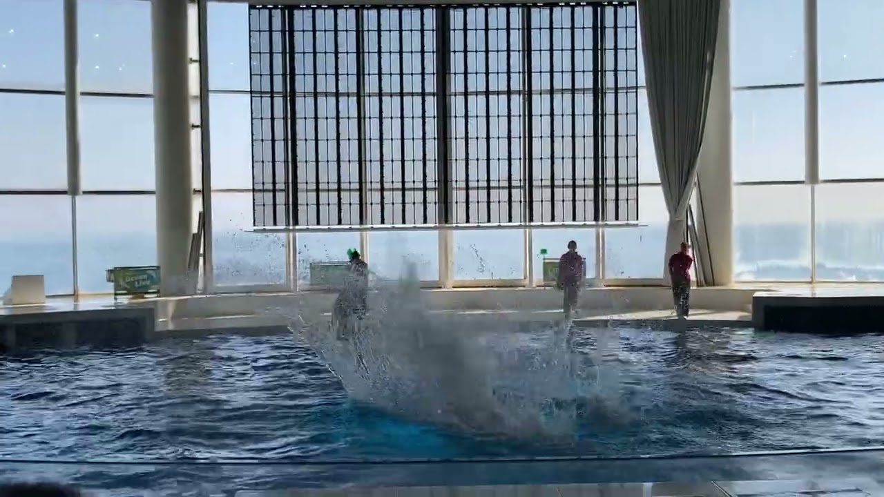 大洗　水族館