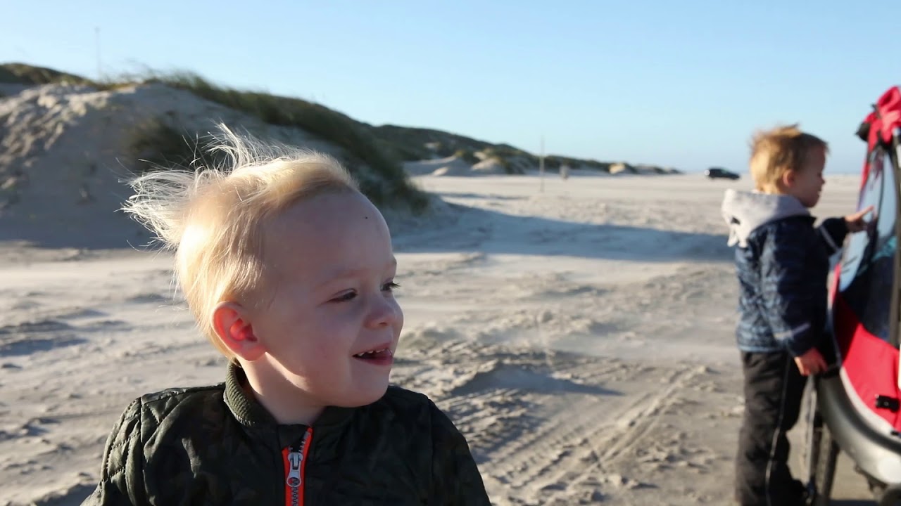 Dagplejen