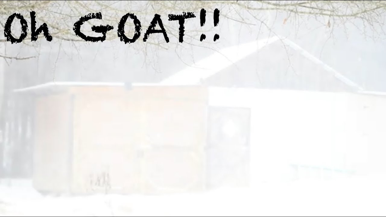 Oh GOAT!!! Battling the Winter Whirlwind at The Dairy!