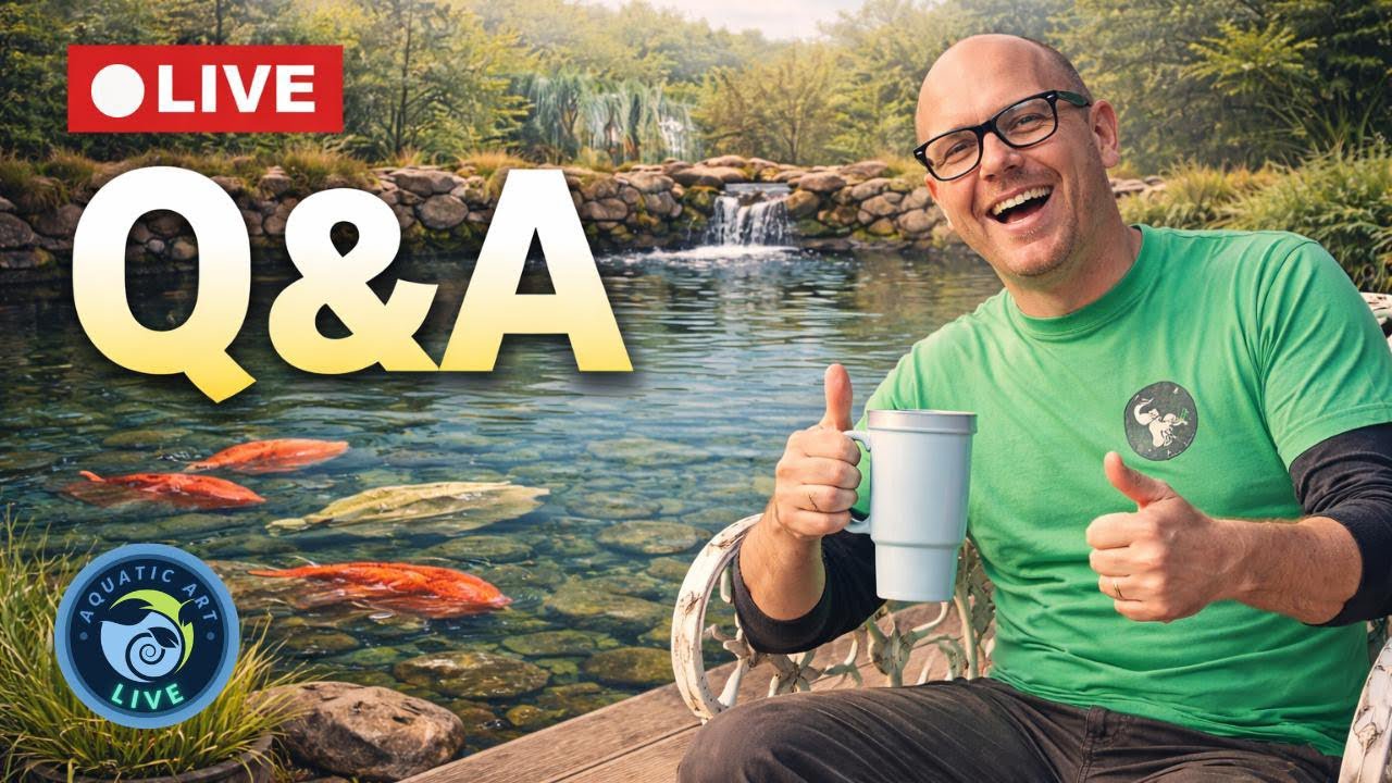 🔴 LIVE | Pond Q&A &ndash; Ask Us Anything