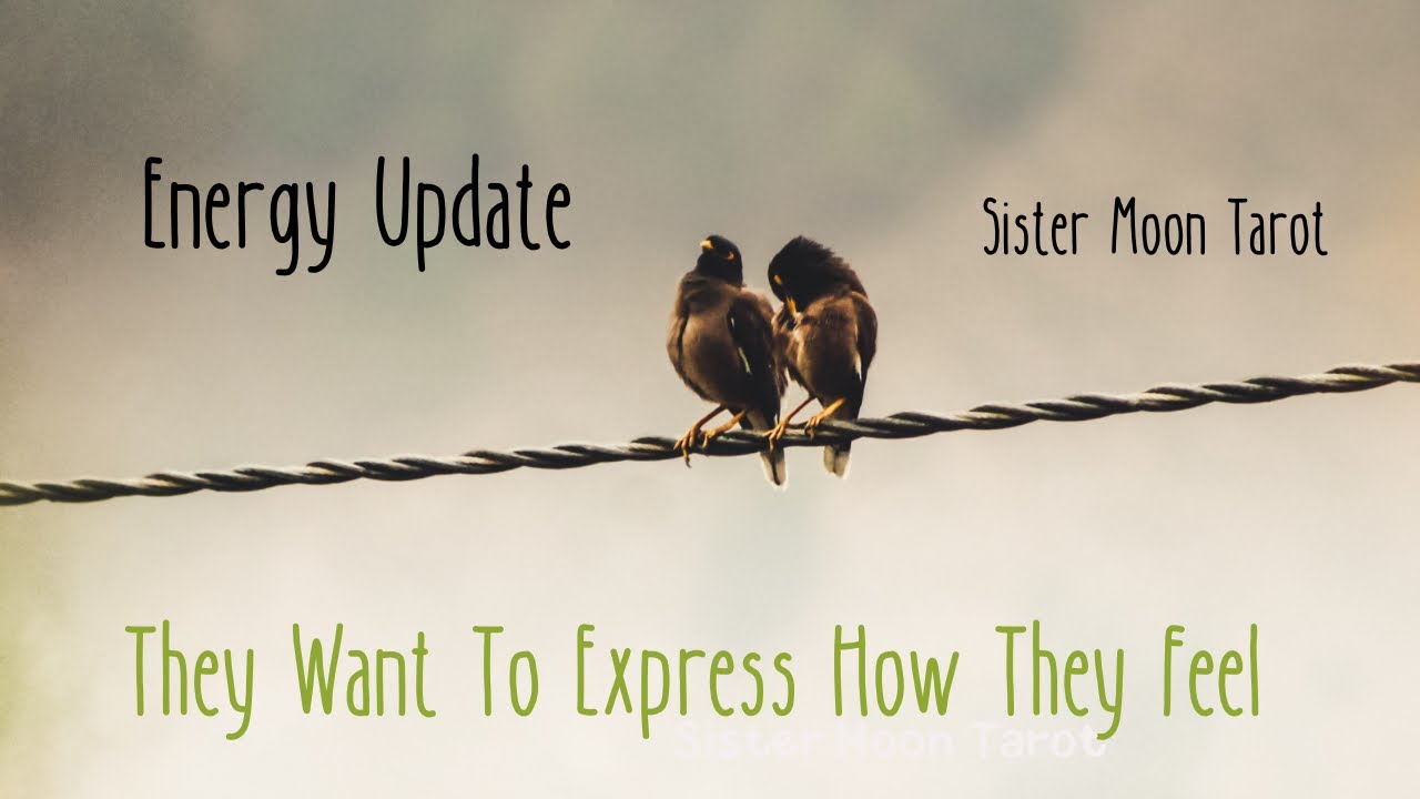 Update of Your Connection, What Are They Thinking? Trying to Gain Courage To Talk & Share Feelings