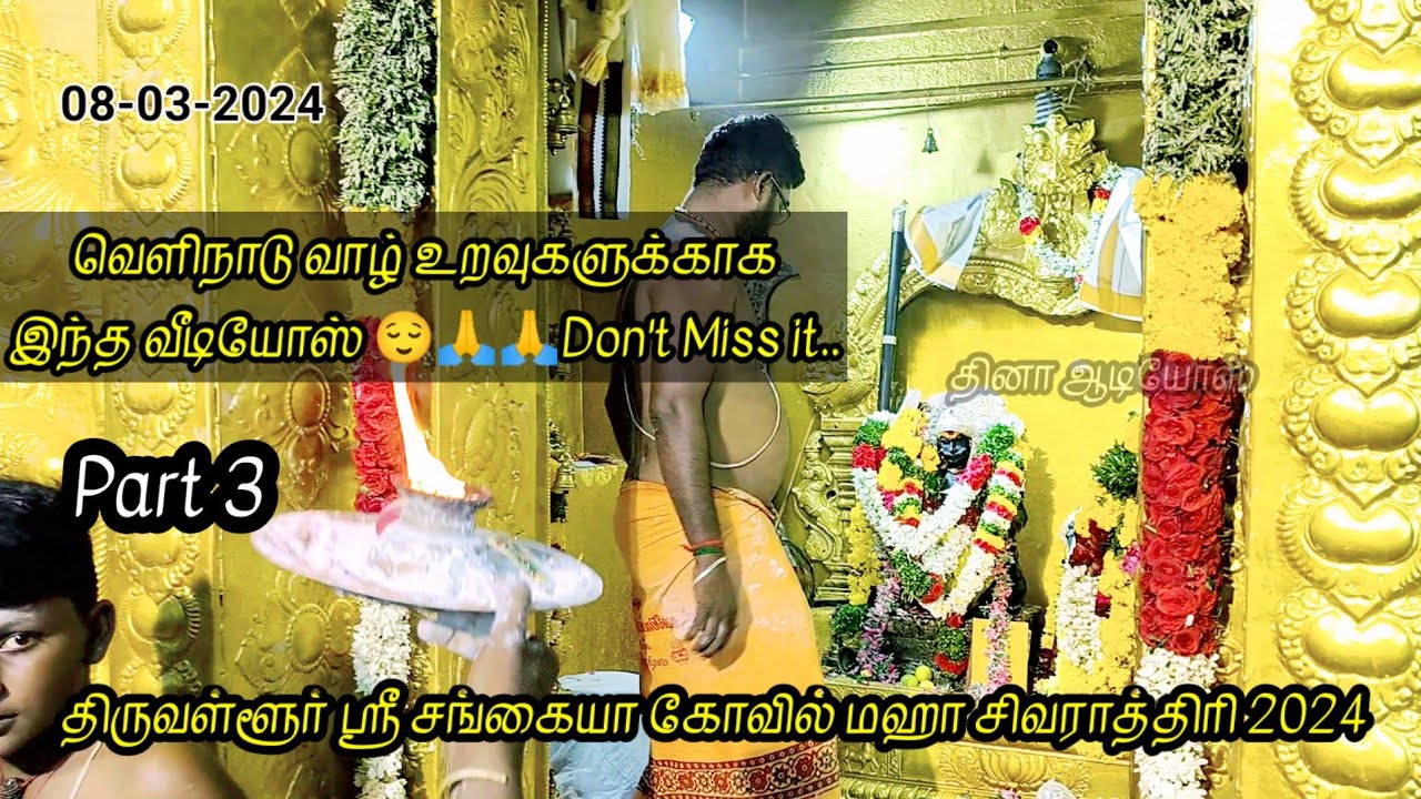 திருவள்ளூர் சங்கையா கோவில் திருவிழா 2024 || Sangaiya Kovil Mahasivaratri 2024 || Dheena Audios