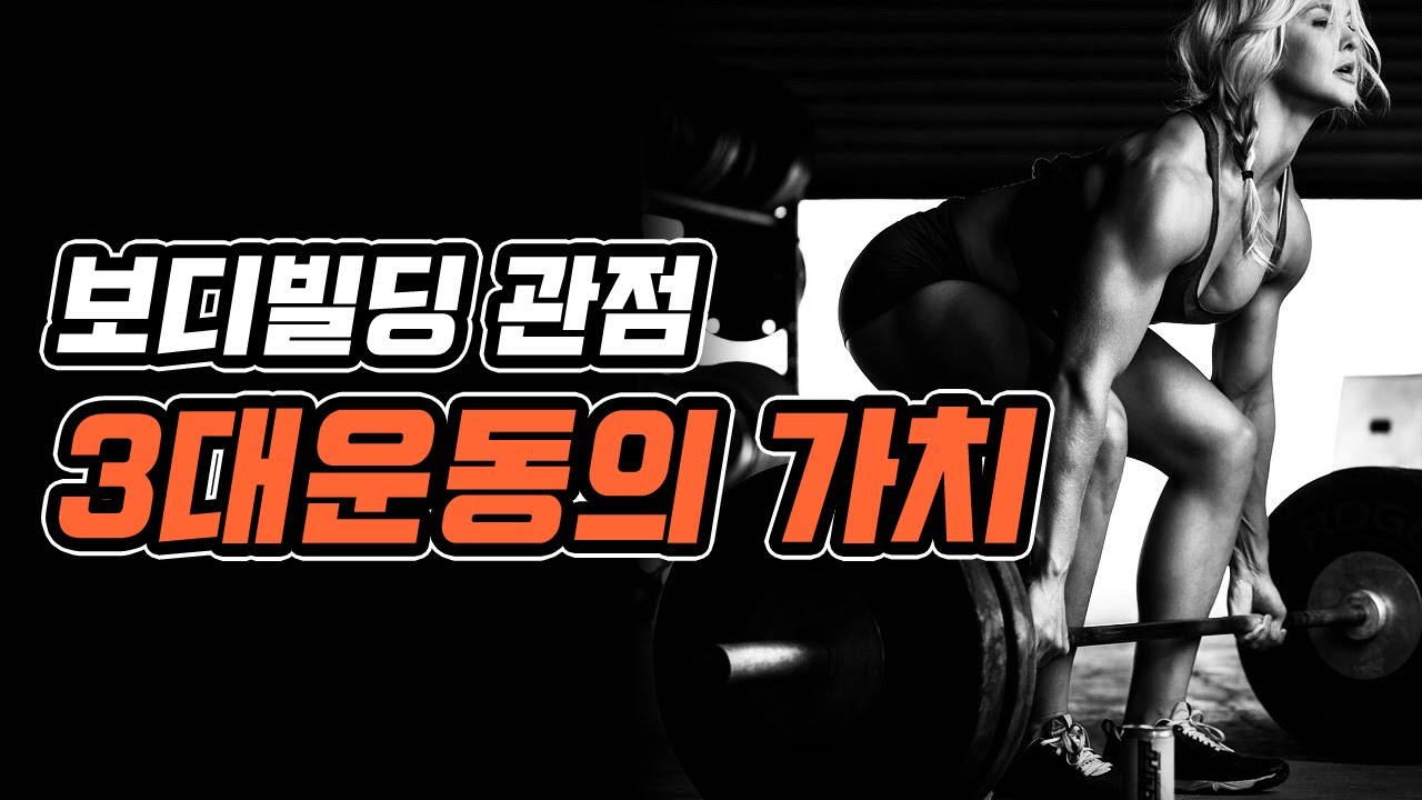 보디빌딩 관점에서의 3대운동의 가치, 과연 얼마나 있을까? (프리웨이트 플랫 벤치프레스, 데드리프트, 스쿼트 운동 효과)