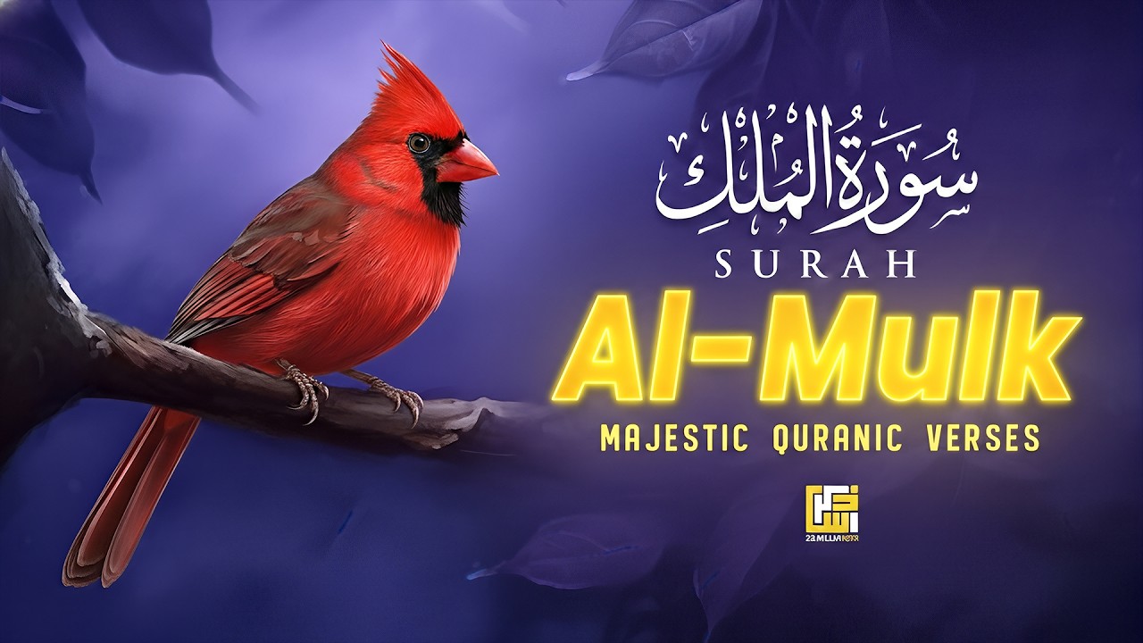 Surah AL Mulk - سورة الملك | A Calming Recitation And Relaxing Voice | Zikrullah Reciters
