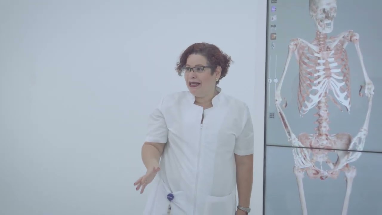 Mesa de disección anatómica en 3D - Anatomage