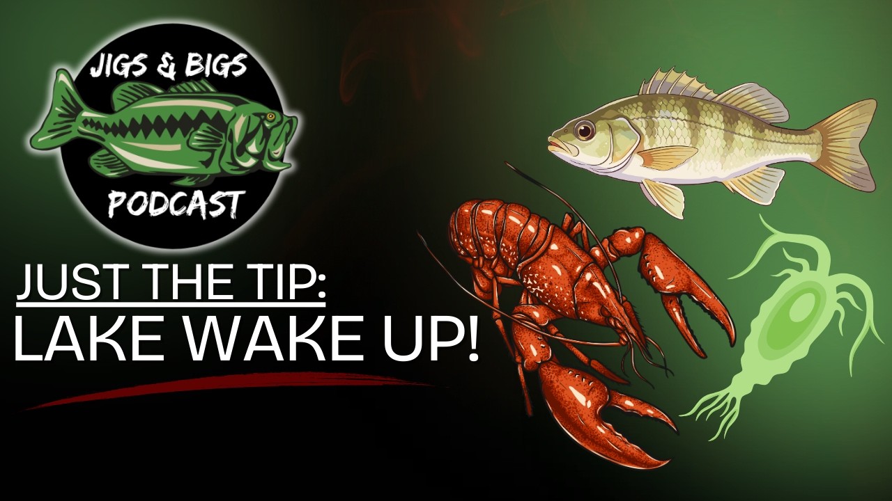 Just the tip: Northern Winter to Spring Transitions