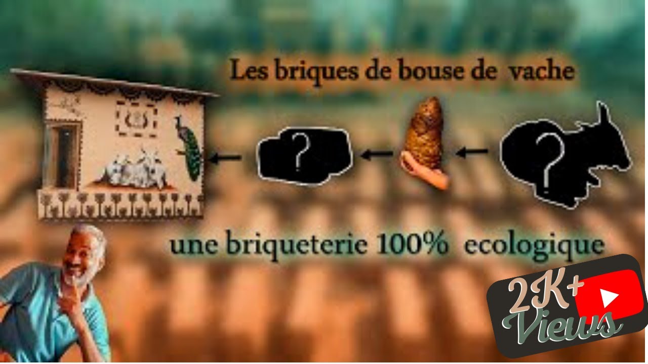 Brique de bouse de vache||गोबर से बनायें ईंट|| briques écologiques|gobar ki Int|Vache sacrée en Inde