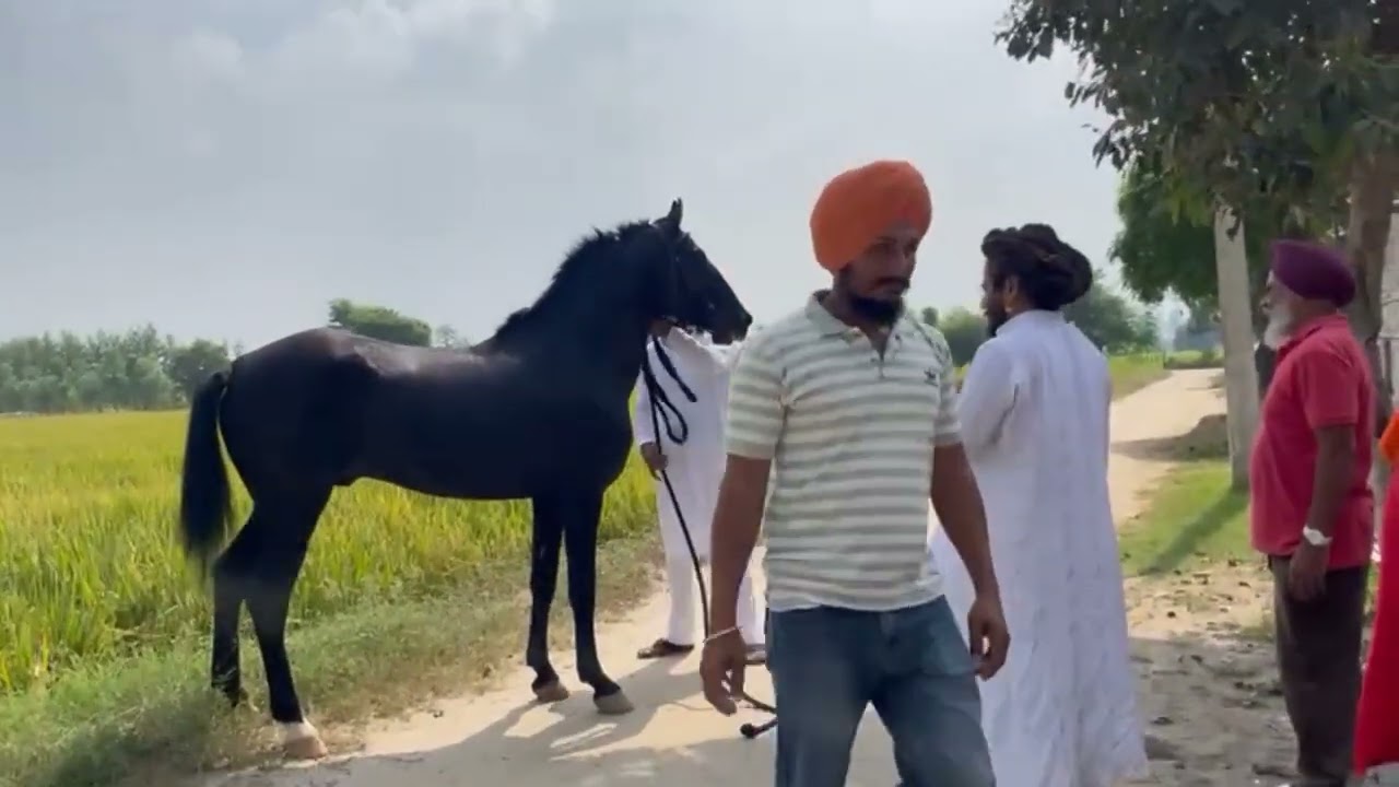 ਅੱਜ ਆਪਣੇ ਫਾਰਮ ਤੇ ਸੰਤ ਬਾਬਾ ਖੰਨੇ ਵਾਲੇ ਪਹੁੰਚੇ