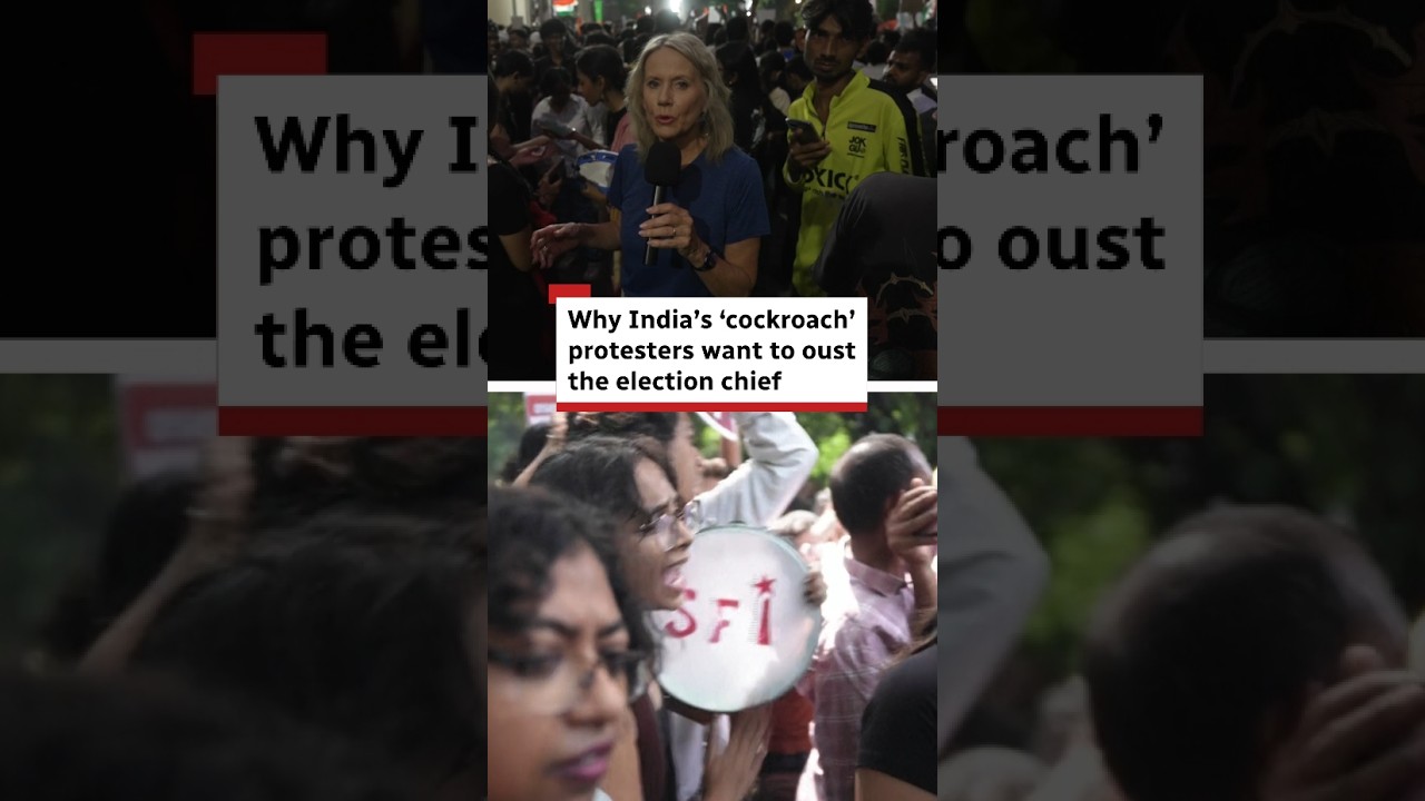 Why India's cockroach protesters want to oust country's election chief