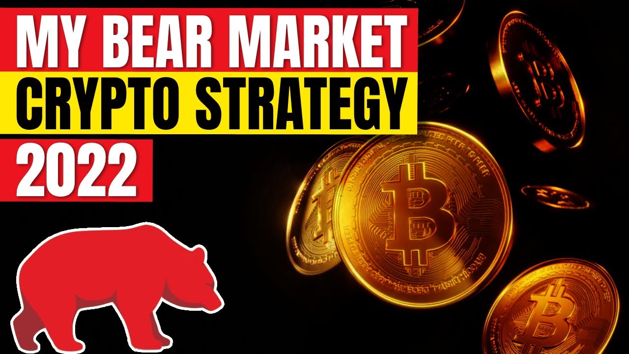My Crypto Bear Market Strategy 2022 -  How to Create Long Term Wealth | Part 1
