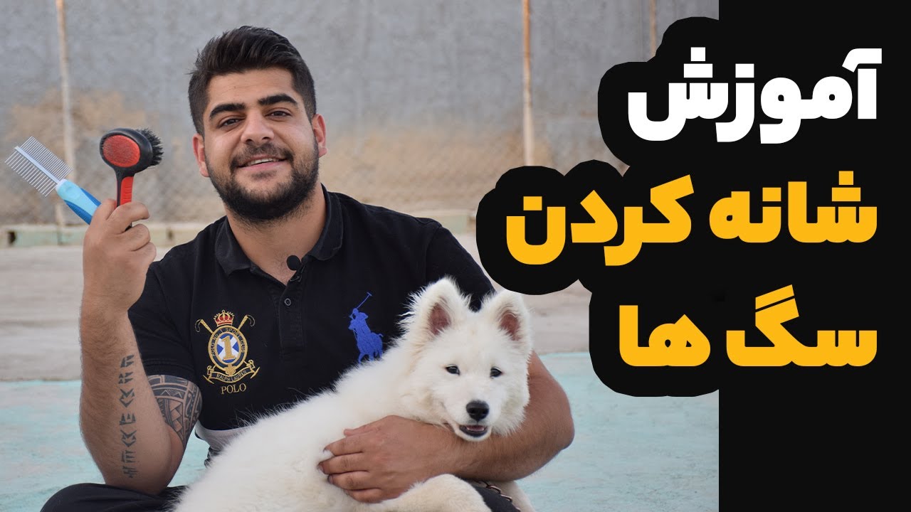 آموزش برس کشیدن سگ ها