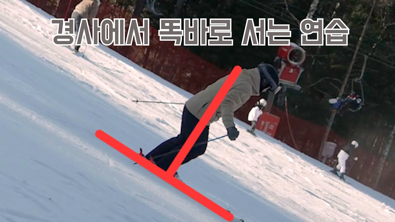 스키 경사에서 두려움 극복하기/ 스키 탑 밑으로 떨어뜨리는연습/스키 쉽고 재밌게타자#5