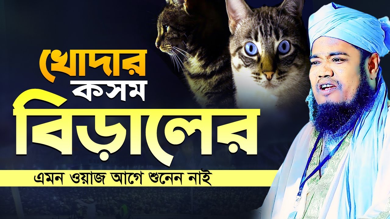 খোদার কসম বিড়ালের এমন ওয়াজ আগে শুনেন নাই | নতুন ওয়াজ | রুহুল আমিন সিদ্দিকী