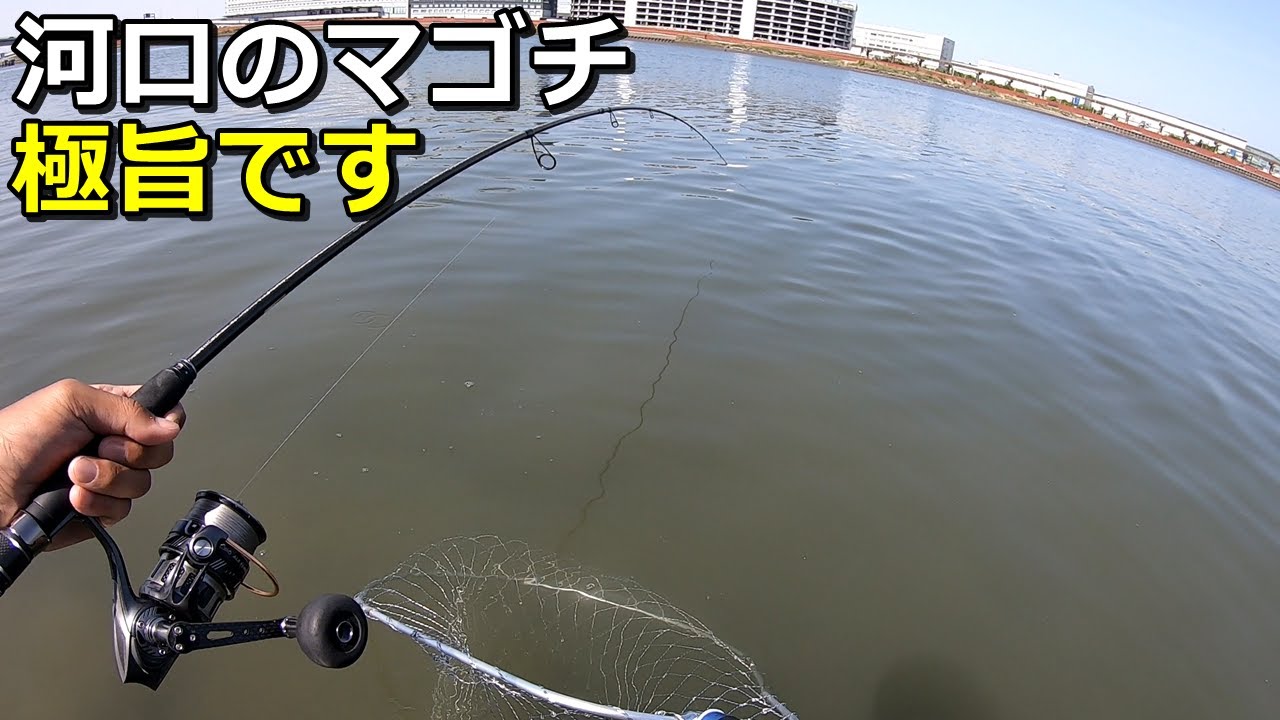 初夏の河口でデイシーバスしてたら...巨大マゴチに大興奮！
