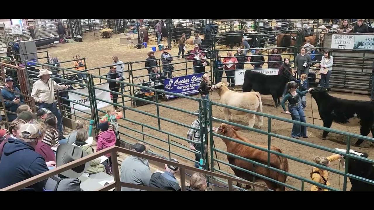 OYEN ALBERTA BEEF PEN SHOW 2026 ( 15 FEBRUARY)