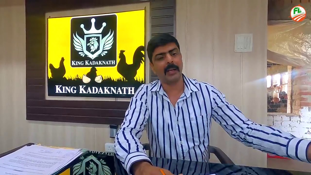 King Kadaknath Poultry Farming in Ambala City