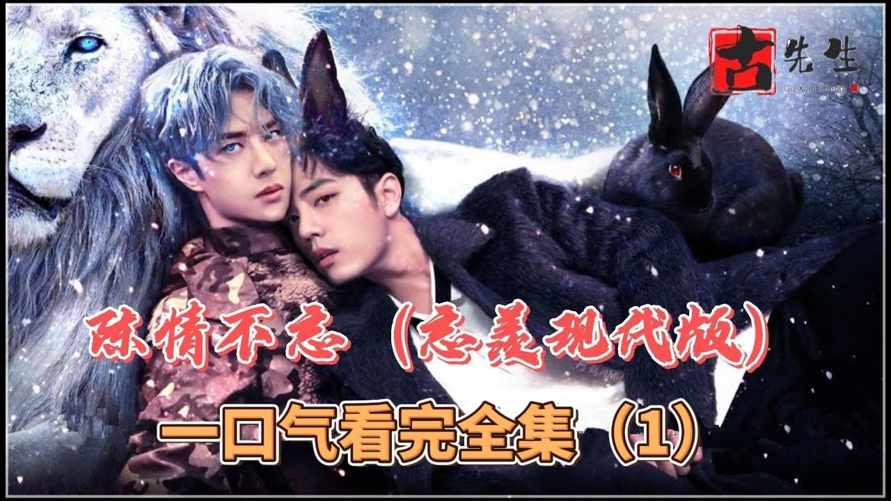 一口气看完全集（1），陈情不忘（忘羡现代版）