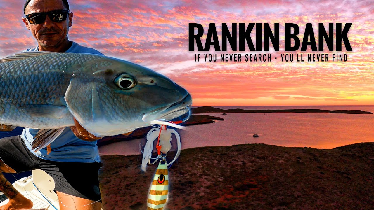 we SEND 200km offshore to fish RANKIN BANK