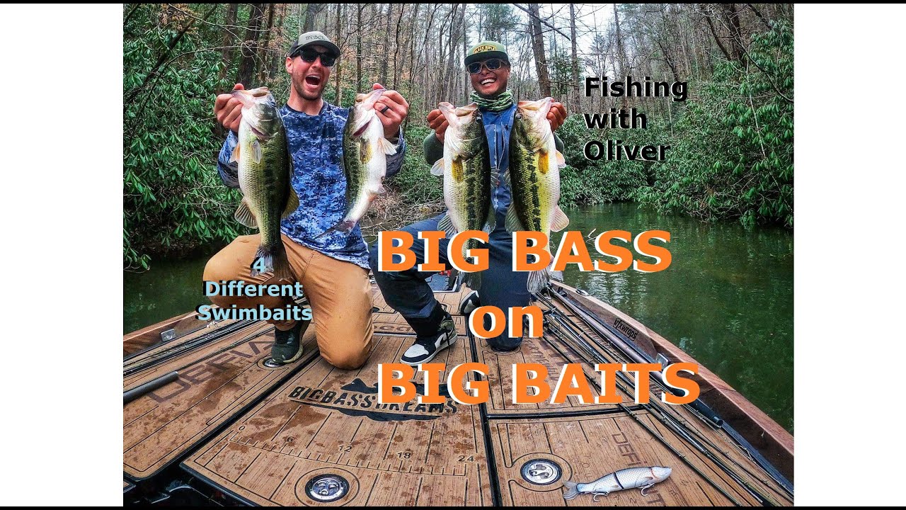 Swimbait Fishing North Carolina With Oliver Ngy Big Bass Dreams