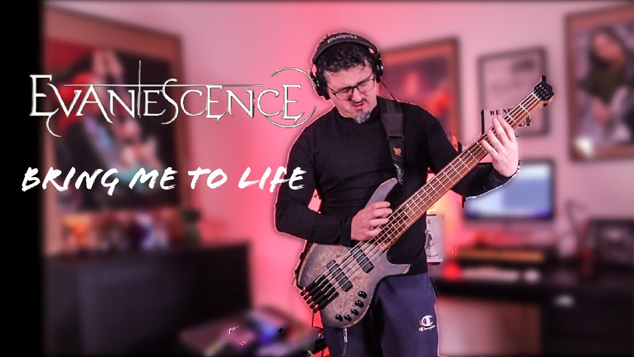Evanescence - Bring Me to Life Bass Cover