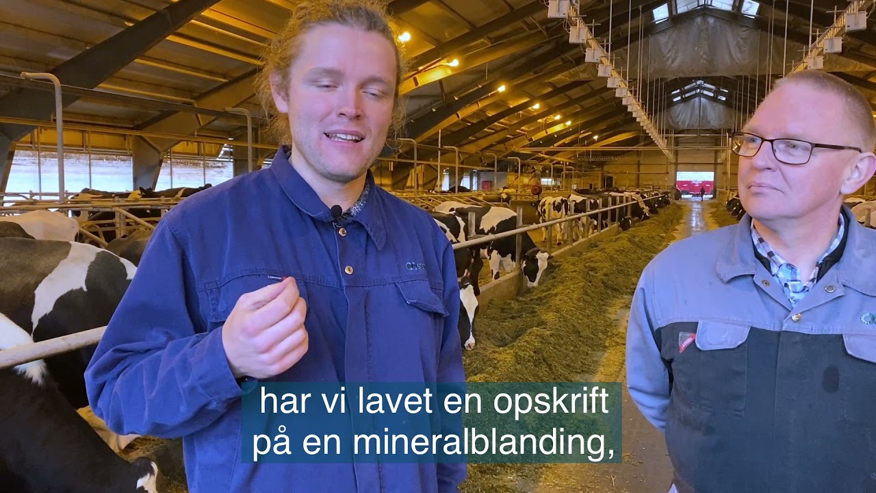 K&oslash;er og mineraler