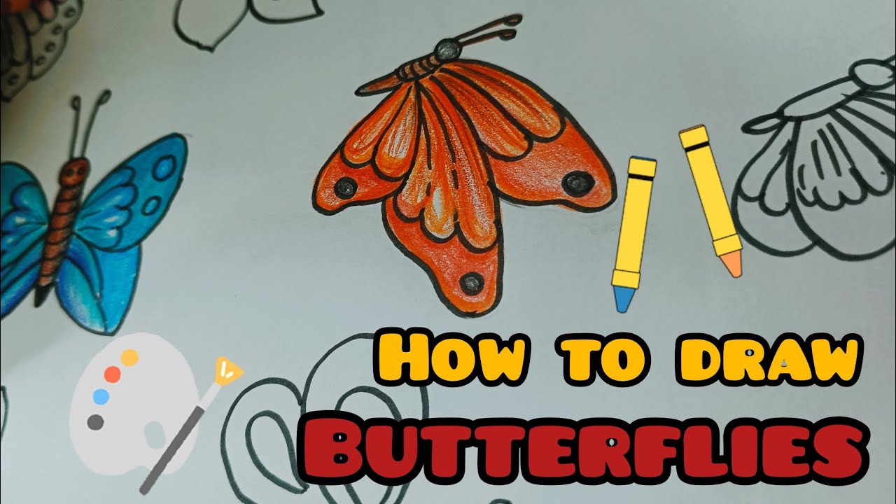 Butterfly drawing for kids 