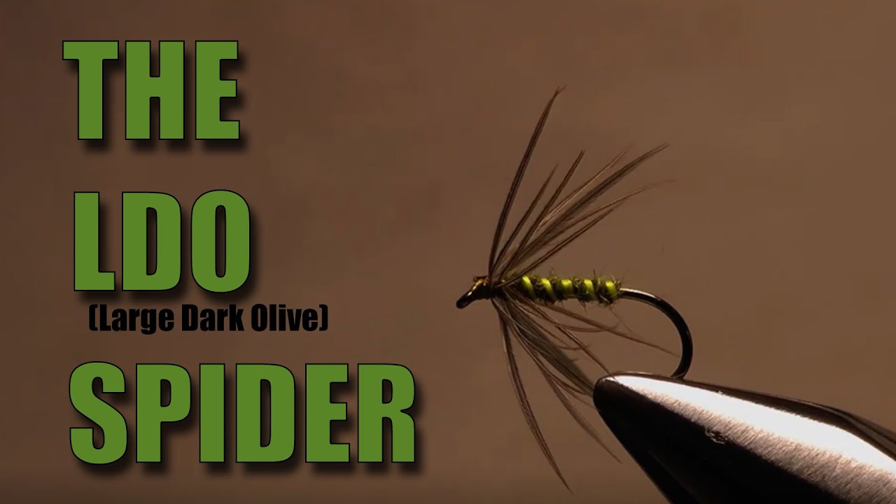 The LDO (Large Dark Olive) Spider - fly tying with Geoff Johnston