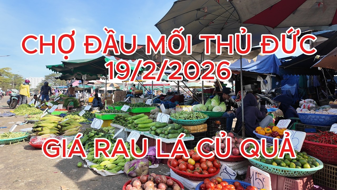 Giá rau lá củ quả Chợ Đầu Mối Thủ Đức 19/2 cải dưa tăng gấp đôi, ớt cà chua giảm dưa leo về thường