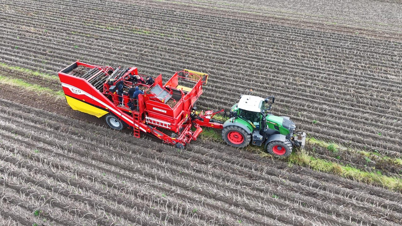 Kartoffeln Roden 2025 | Fendt 728 Vario + Grimme EVO 280 | LU Gieschen