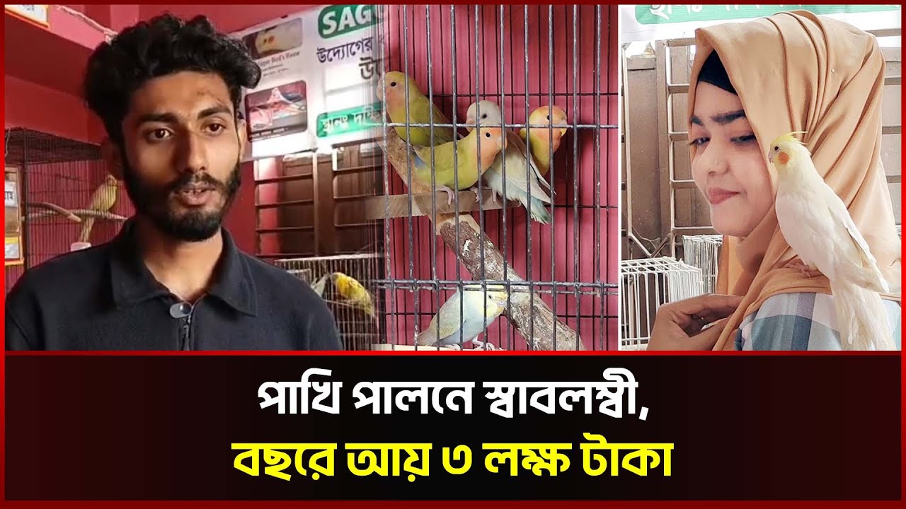 শখ থেকে স্বাবলম্বী, পাখি পালনে সাগর-মুমু দম্পতির বাজিমাত | Pet Bird Farm | Sonali News