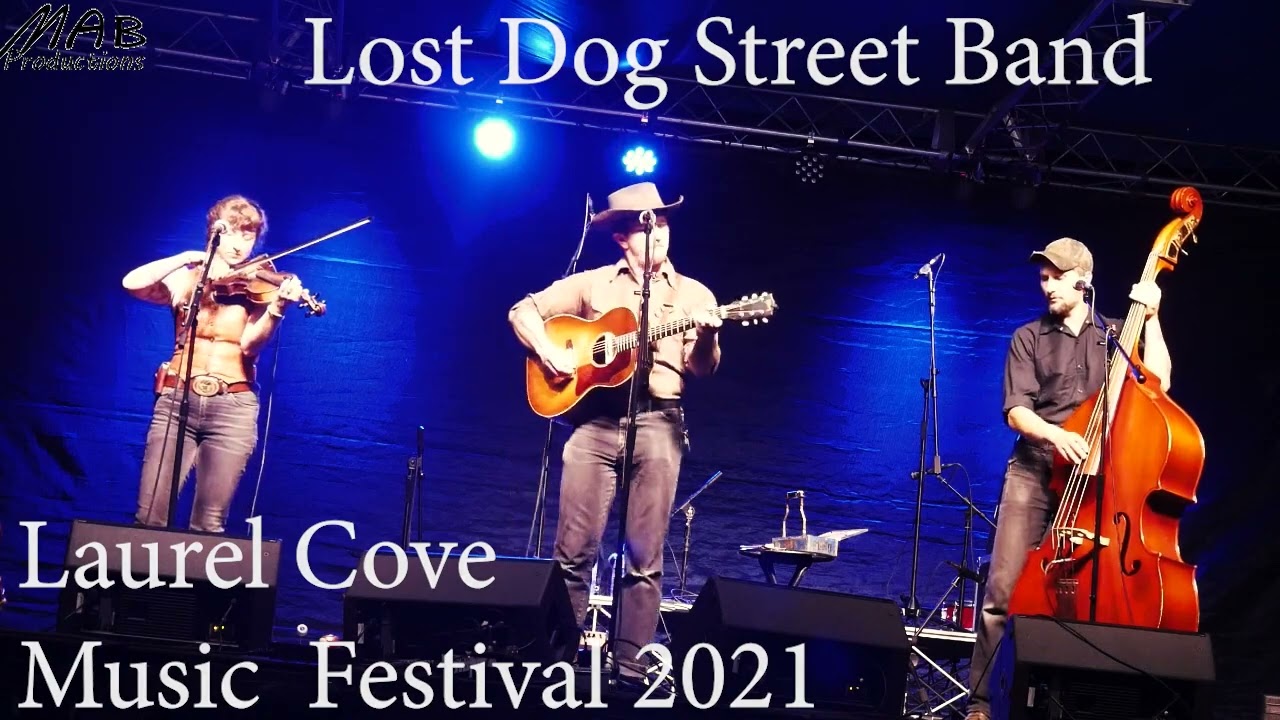 Lost Dog Street Band 2021