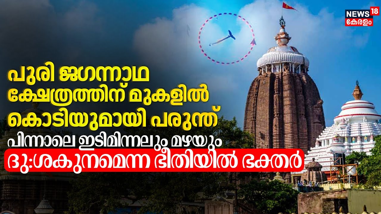 പുരി ജ​ഗന്നാഥ ക്ഷേത്രത്തിന് മുകളിൽ പരുന്ത് | Eagle Spotted In Puri Jagannatha Temple; Bad Omen?|N18V