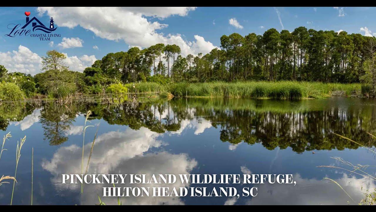Pinckney Island Wildlife Refuge, Hilton Head Island, SC