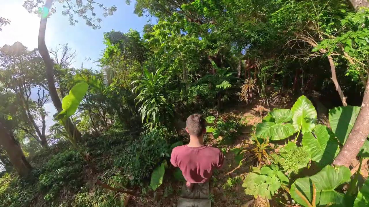 Walking from Resort to Town: Beach Path & Island Vibes (Short Walk)