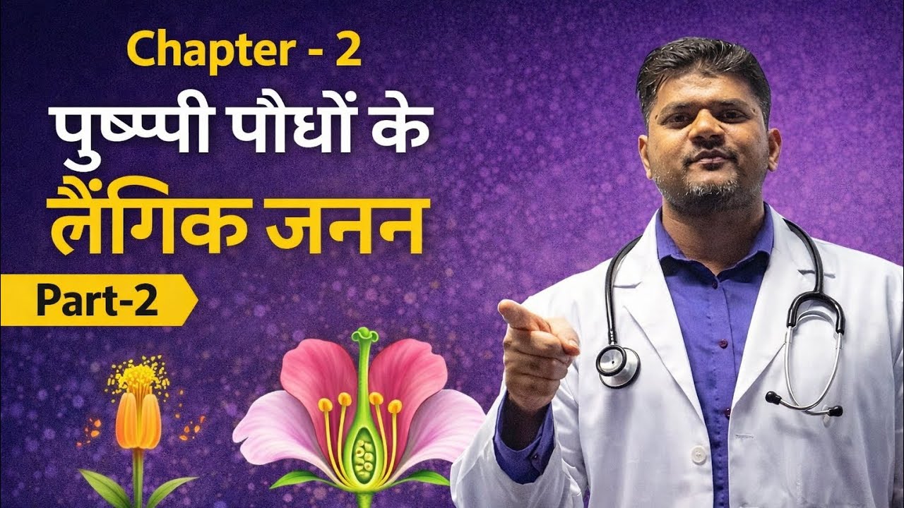 Class 12 Biology 🔥 Chapter-2 Part-2 | Sexual Reproduction in Flowering Plants | NCERT