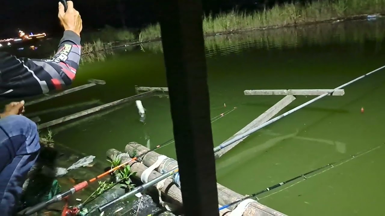 strike ikan nila||mancing malam hari dilapak ceri indah(rekesan)malang selatan
