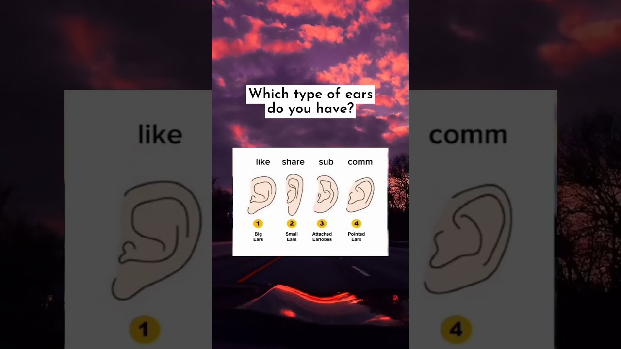Which type of ears do you have ? 
