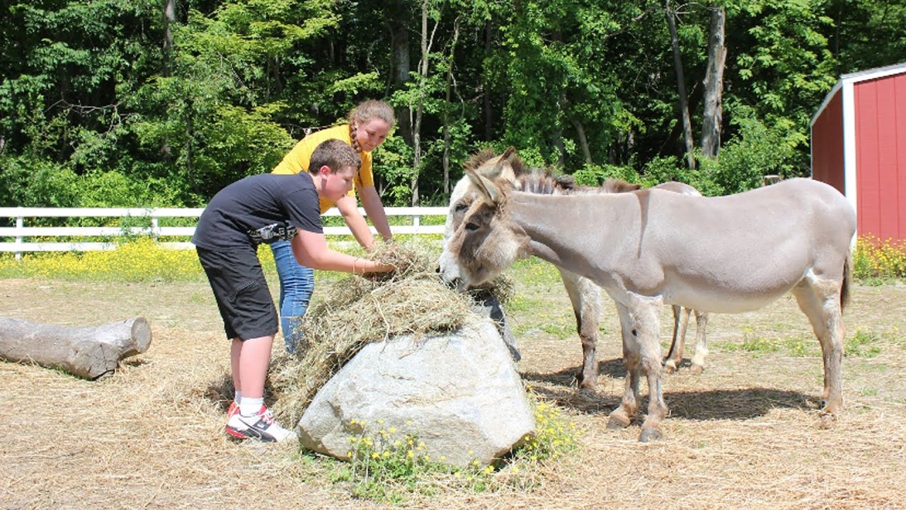 Nature, Nurture and Hope for Children