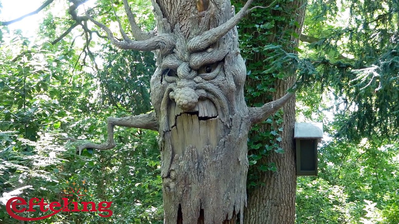 Sprechender Baum 