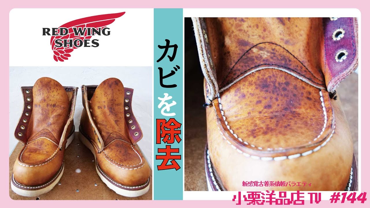 [REDWING]カビまみれのブーツをキレイにしよう！(How to clean moldy boots!!)