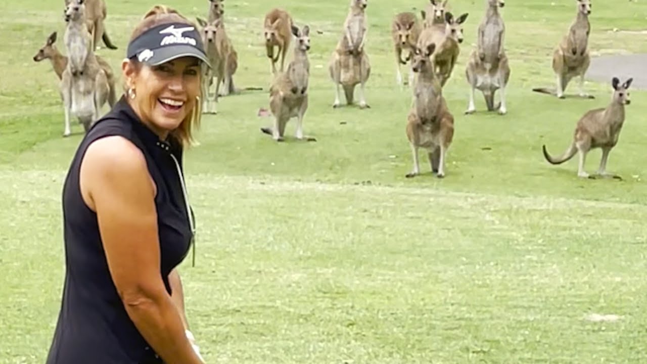 Kangaroos INVADE! 🤣 | FUNNY Animal and Pet Clips