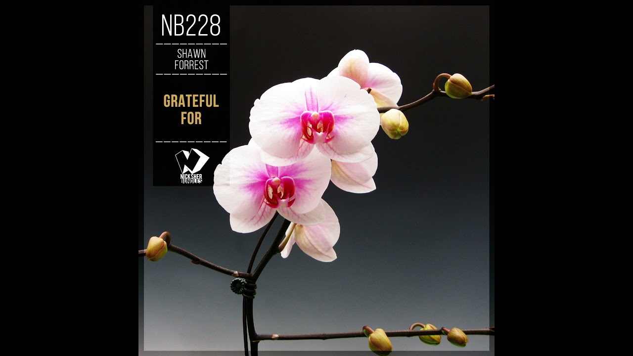 Shawn Forrest - Grateful For (Original Mix)