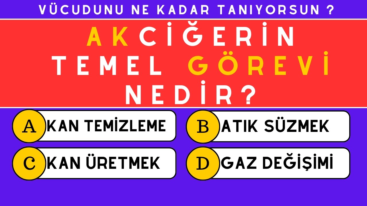 Bu İnsan V&uuml;cudu Testinden 20/35 Yapabilir misin? |  V&uuml;cudunu Ne Kadar Tanıyorsun?