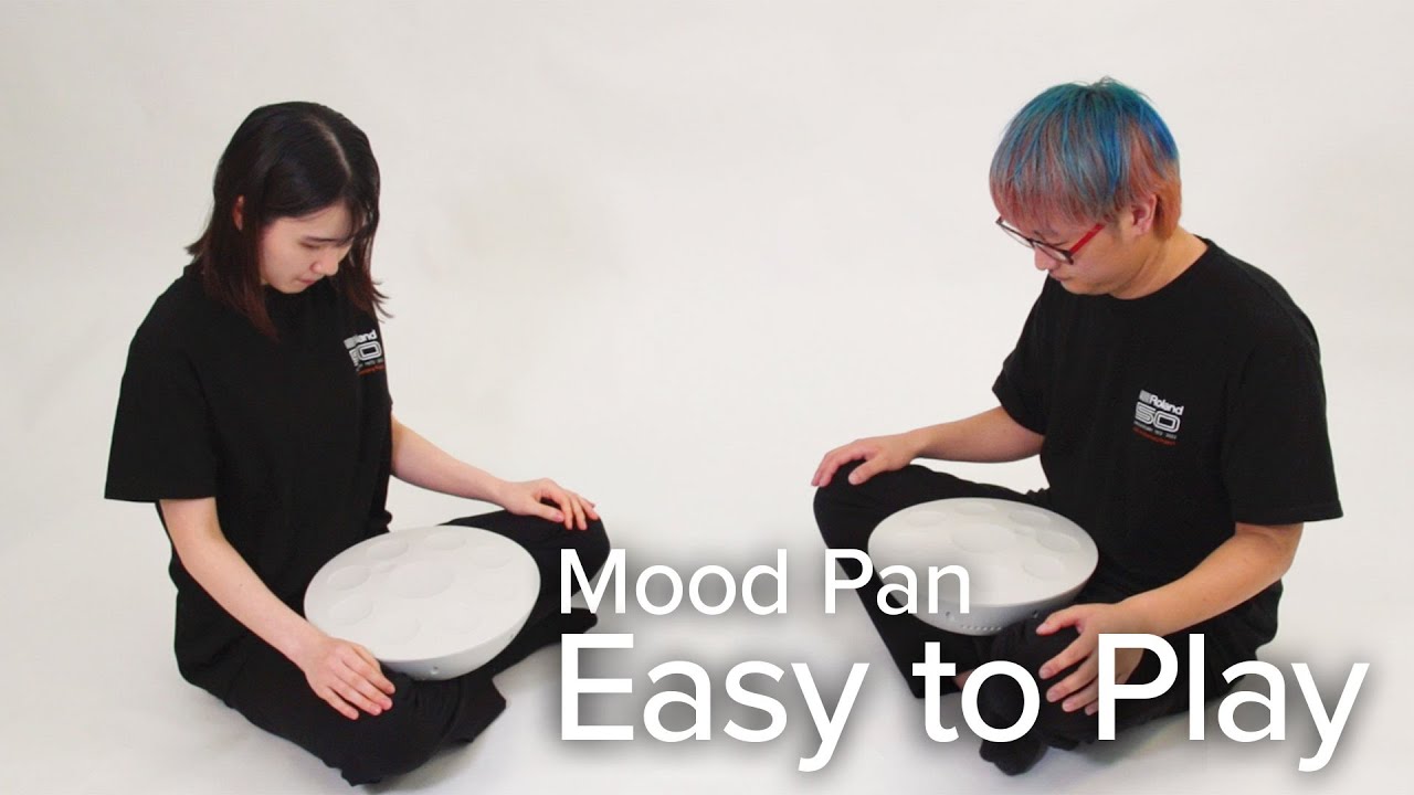 Roland Mood Pan誰でも簡単に演奏できます