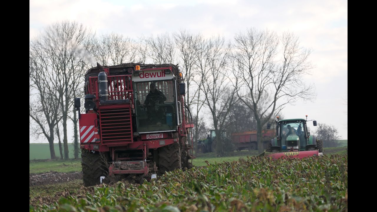 Arrachage en chantier décomposé/John Deere 6920/Gilles TR-14/A-48-32/Dewulf R7000 T🍠🚜[Agri Joly]