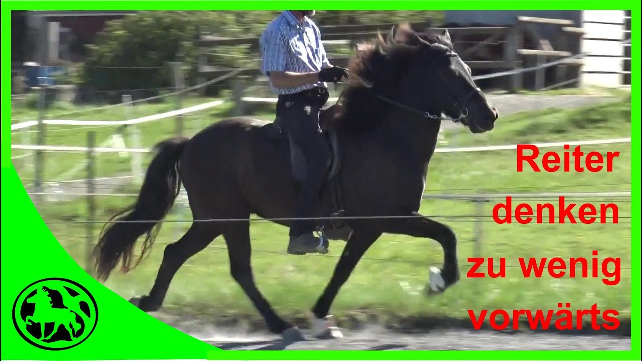 Der größte Fehler im Tölttraining ! ( und generell beim Reiten )